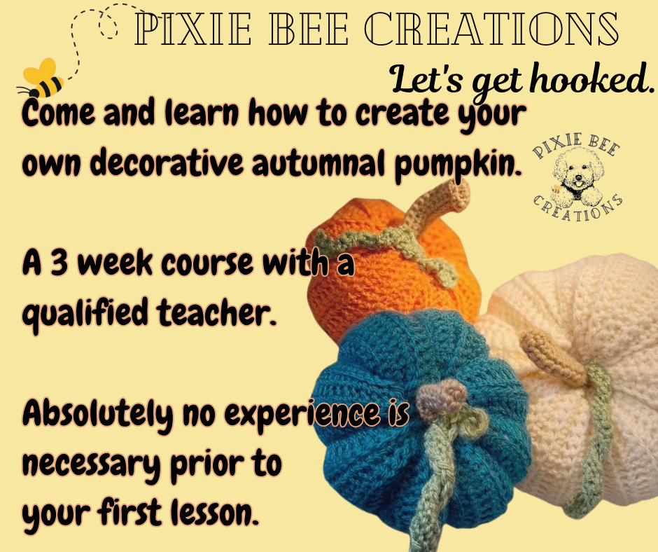 Beginners crochet workshops