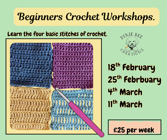 Beginners pre-project Crochet workshops.